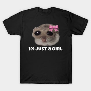 Sad Hamster, Hampter Meme, Viral Funny Trendy Hamster T-Shirt